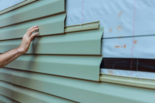 Best Siding Painting and Refinishing  in Banner Hill, TN